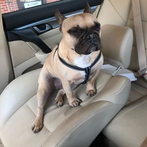 Meet your Posher, Kyle